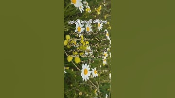 سورة المسد ❤️ سعد الغامدي ❤️😘