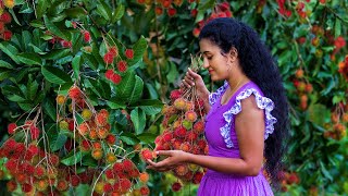 Rambutan fruit recipe 🍒 Sweet & Sour Sinhalese Fruit Dishes Sri Lankan Food Nature Cooking