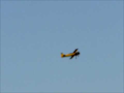 Pitts python.wmv