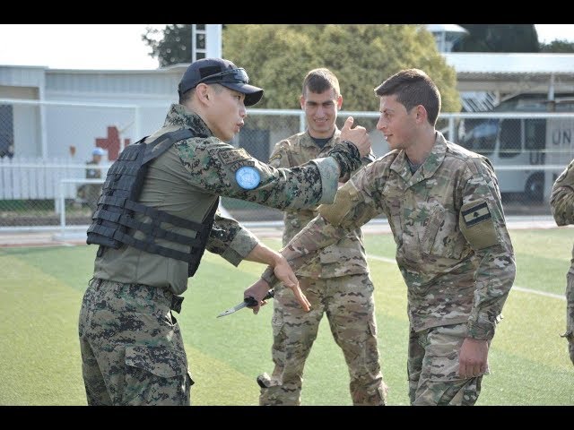UNIFIL Korean peacekeepers and LAF soldiers in joint combat training class=