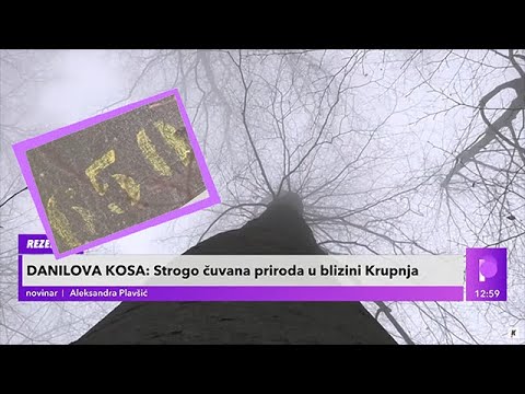 Video: Koje će Vještine Biti Korisne Kuriru