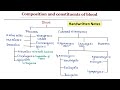 Composition of blood | Handwritten notes
