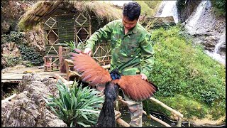 full video 100 days of jungle survival and shelter/foraging primitive technology