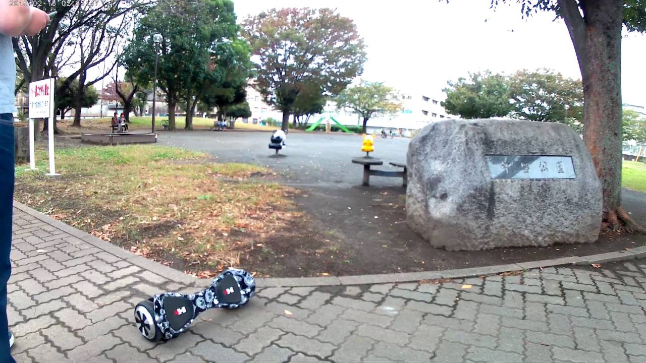 たぶん 岡村靖幸 74歳 16ch たぶん 岡村靖幸 74歳 16ch