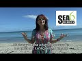 Social enterprise and income generation ideas using seaweed