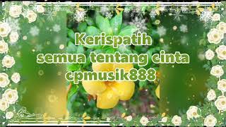 Download Lagu Kerispatih - Semua Tentang Cinta || Dia tahu saatnya hatiku berbunga MP3 Download Lagu Kerispatih - Semua Tentang Cinta || Dia tahu saatnya hatiku berbunga MP3
