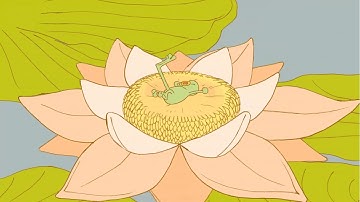 2D Animation Demo Reel 2022