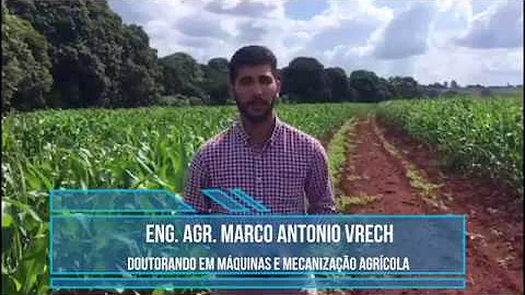 Qual a média de produção de milho por hectare?