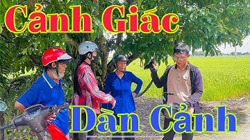Cảnh Giác Dàn Cảnh | Cong67cn 