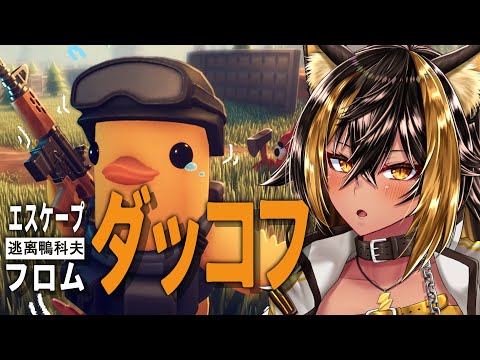 【エスケープ フロム ダッコフ】話題の物資回収脱出ゲーム、ダッコフ遊ぶ!🐤⚡【猫小夜くろえ/VTuber】