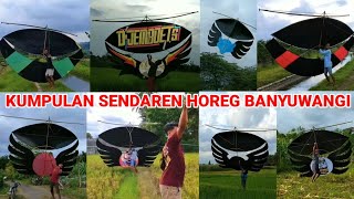 Kumpulan Sendaren Mika Horeg Banyuwangi Kite Sound Like a Fighter Plane