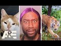 Neighborhood Wars: Most Viewed Animal Moments | A&E