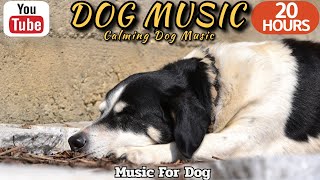 20 HOURS of Dog Calming Music🦮💖Puppy sleeping🐶🎵Anti Separation Anxiety Relief Music⭐Healingmate