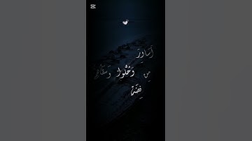 نور على نور.. تلاوة عطرة من آيات الذكر الحكيم 😇