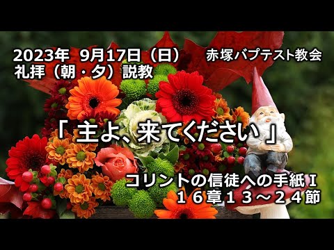 2023年9月17日(日)（朝・夕）赤塚教会礼拝説教「主よ、来てください」コリントの信徒への手紙Ⅰ 16章13～24節