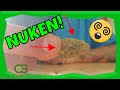 Nuken weed strain review  2020 coupon code for kanapost