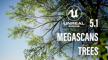 How to import the new Megascans Trees into Unreal Engine 5.1 with Nanite | TUTORIAL