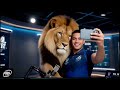 NRL Round 6 Game matches 2026