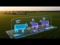 Building a cow health dashboard with PyResearch