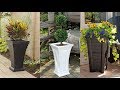 Trees Around Planters Circular