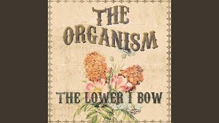 The Last of the Analog Children