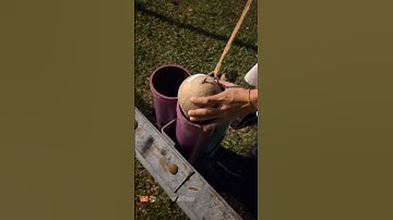 Shooting shells for Chinese new year