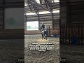 Nobody… #horse #equestrian #eq #relatable #shorts #work #viral #subscribe #tiktok #reels