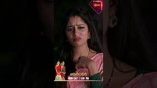 Abhinandana| #shorts | Watch full EP Sun NXT | Gemini TV