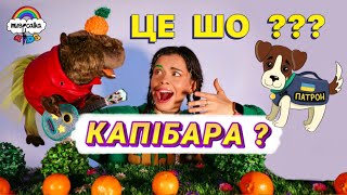 ПЕС ПАТРОН знайшов...КАПІБАРУ ??? • Українські мультики • Дитячі пісні українською #musicalka_kids