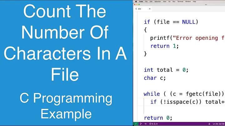 Count The Number Of Characters In A File | C Programming Example