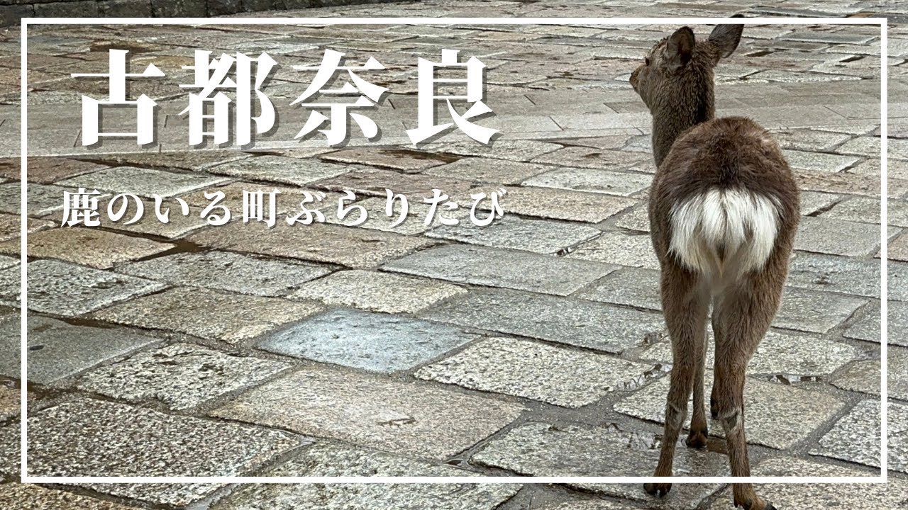 【奈良の旅】『古都奈良』を鹿と一緒に？！ぶらり旅してきました♪