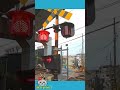 【踏切 電車】カンカン ふみきり Trains & Railroad crossings in Japan JR横須賀線07