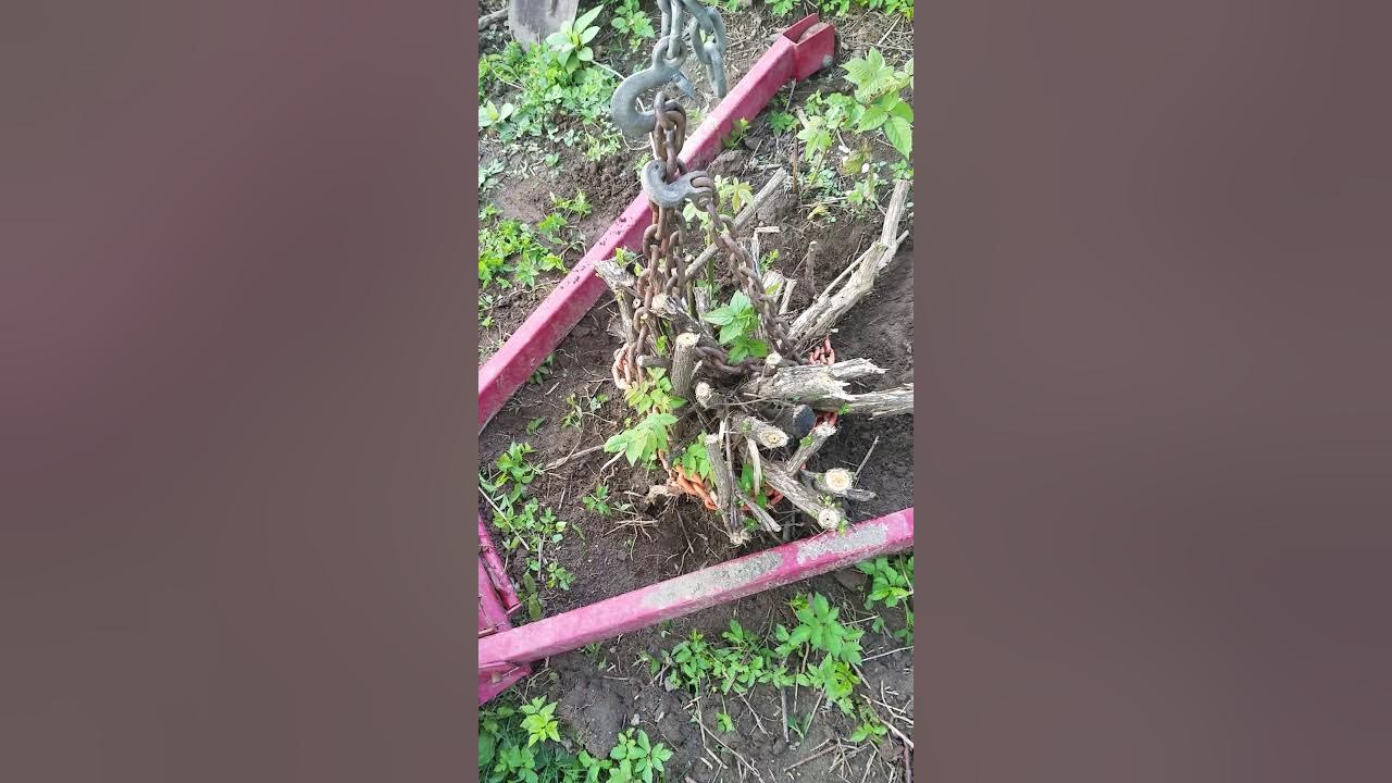 Shrub/stump removal with engine hoist YouTube