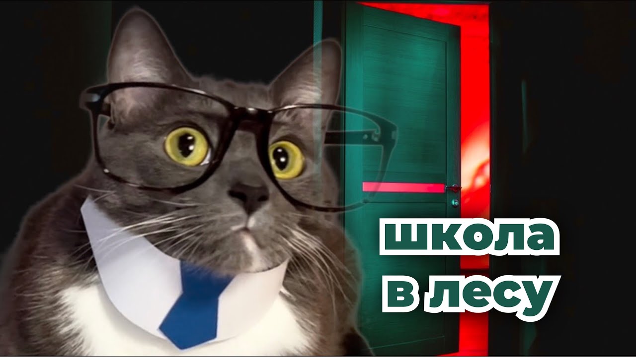 Лотков котик играет. Котики ходят в школу.