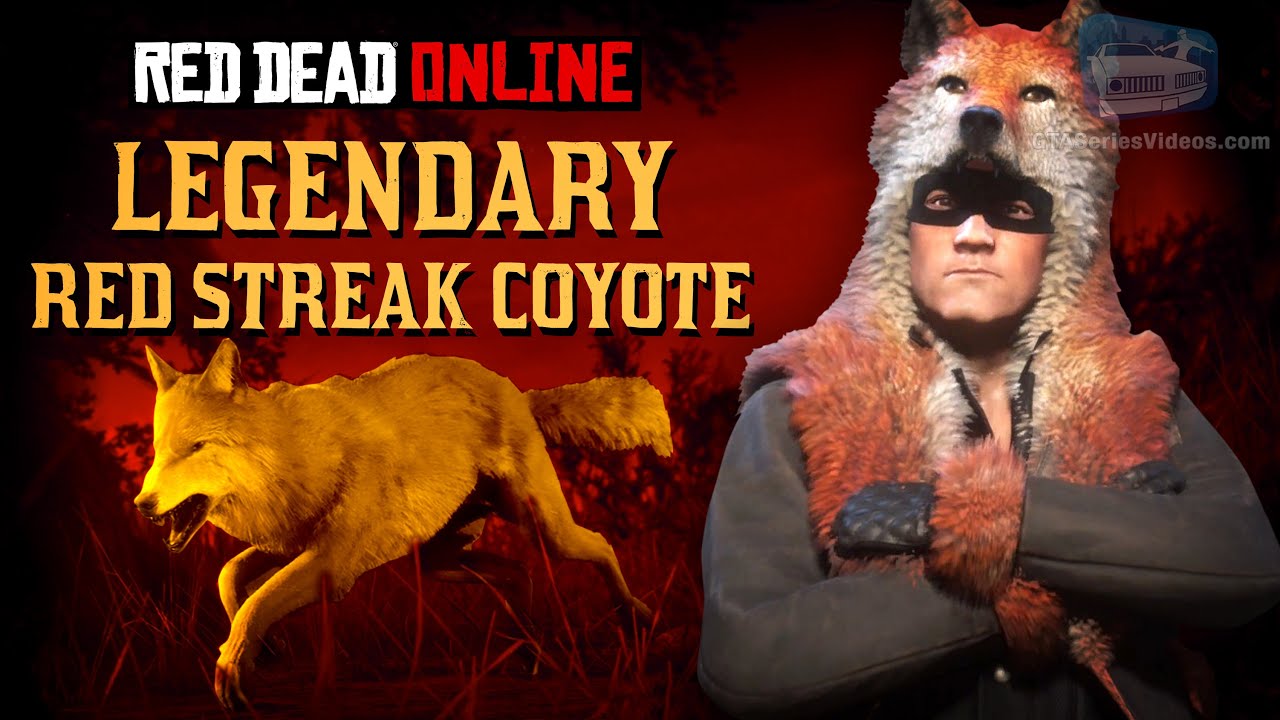 Vlekkeloos salto Vallen Red Dead Online - Legendary Red Streak Coyote Location [Animal Field Guide]  - YouTube