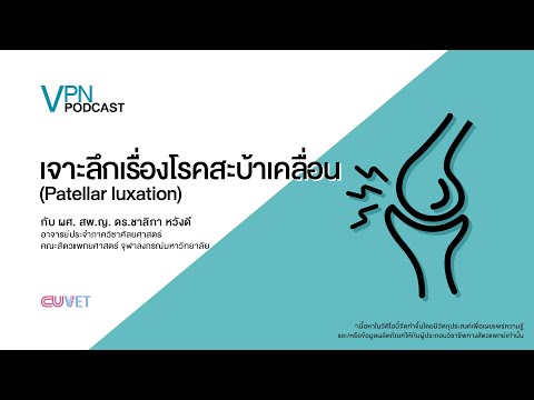 VPN Podcast EP.17 - เจาะลึกเรื่องโรคสะบ้าเคลื่อน (Patellar luxation)