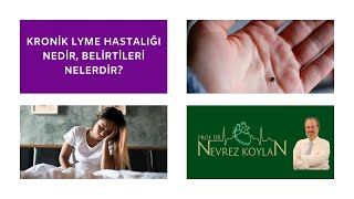 Kroni̇k Lyme Hastaliği Nasil Anlaşilir?