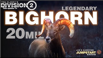 How to Maximize Damage with Optimal Stability * Legendary Bighorn * The Division 2