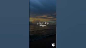 تلاوة بصوت محمد صديق المنشاوي من #سورة_طه #قران #قرآن_كريم #آيات #استغفرالله #الحمدلله #quran