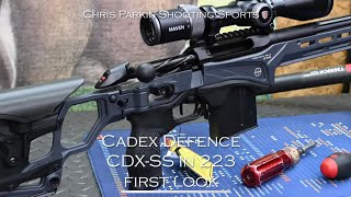 Cadex Defence CDX-SS in 223, first look and impressions 