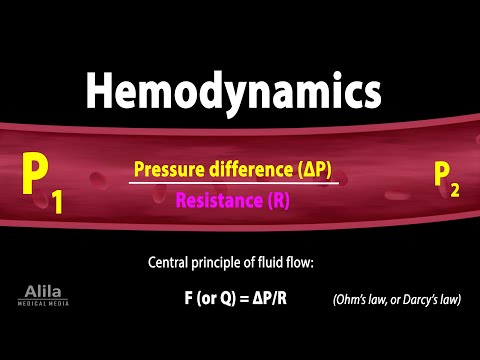 Principles of Hemodynamics, Animation thumbnail