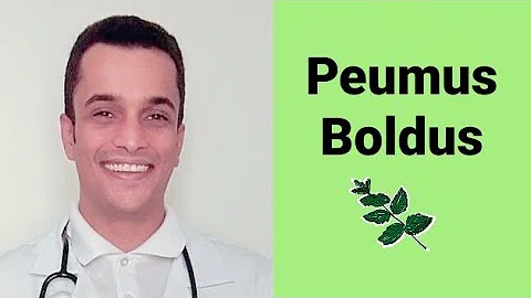 O que ajuda a digestão de gorduras?