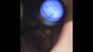 Spidermites I filmed through a loupe years back.