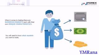Infographic Educational Video Infographic Educational Video