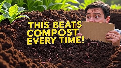 This Cardboard Technique Solved My Soil Problems Better Than Compost