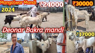 devnar Bakra Mandi update mangalwar Mandi 2024 Bakra Eid dhamaka shuru hone ja raha hai