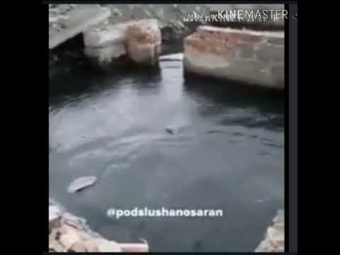 قدرة إلهية أغرب 3 معجزات حدثت في التاريخ بعد فيروس كورونا