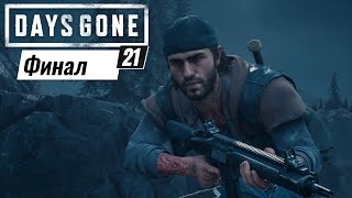 Days Gone.Прохождение на ПК.(21 серия).Финал.