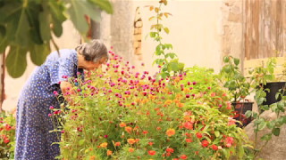 The Flower In My Mother&#39;s Garden