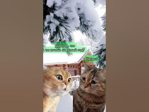 🌀Не знаете, что подарить близким? Подарите дачу🏠 - YouTube